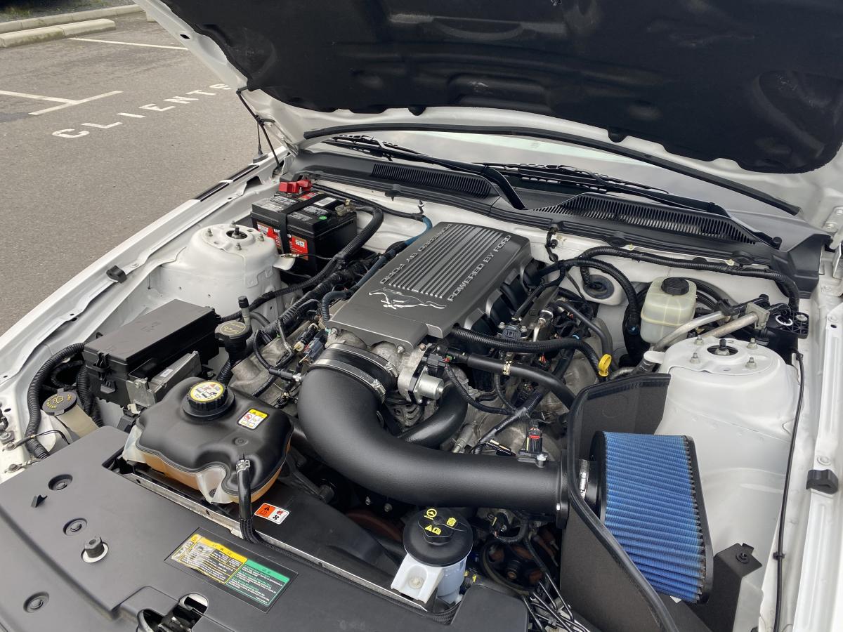 FORD MUSTANG GT CS Cabriolet V8 4.6L BVM5