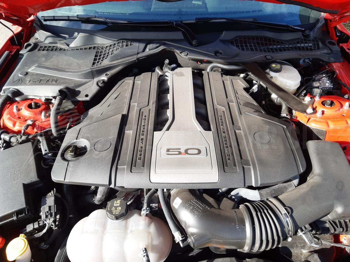 FORD MUSTANG Fastback GT 5.0L V8 450ch