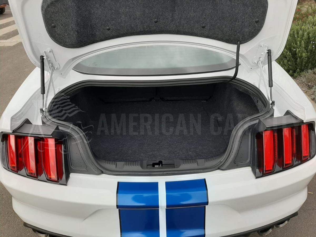FORD MUSTANG Shelby GT350 V8 5.2L