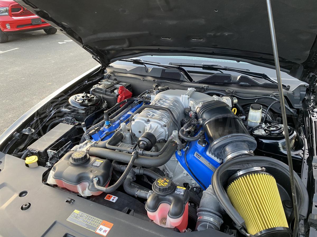 FORD MUSTANG Shelby GT500 V8 5.8L 662ch 2014