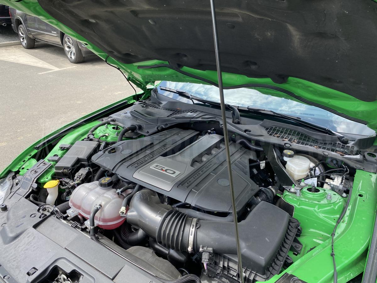 FORD MUSTANG GT FASTBACK 5.0L V8 BVA10