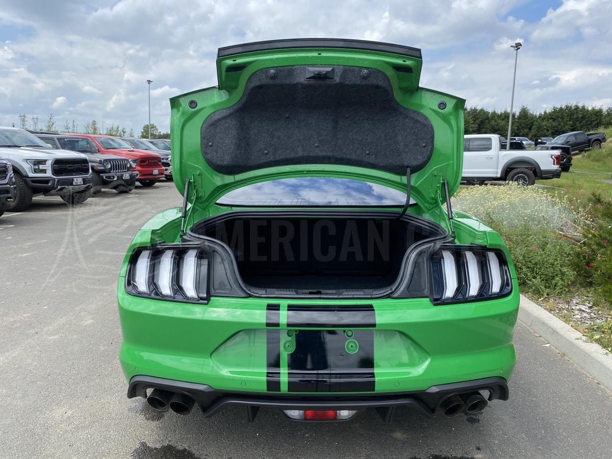 FORD MUSTANG GT FASTBACK 5.0L V8 BVA10