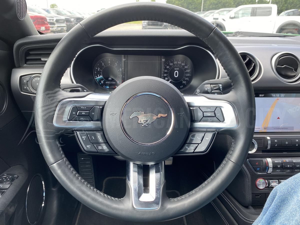 FORD MUSTANG GT FASTBACK 5.0L V8 BVA10