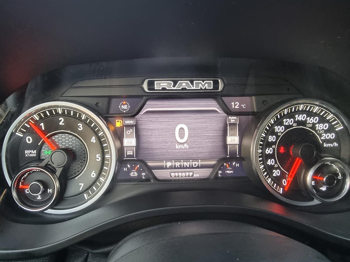 DODGE RAM 1500 CREW SPORT 2019 - E85