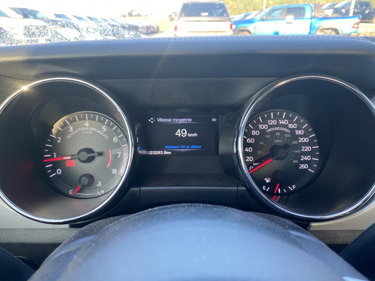 FORD MUSTANG Fastback 5.0 V8 - 421 GT