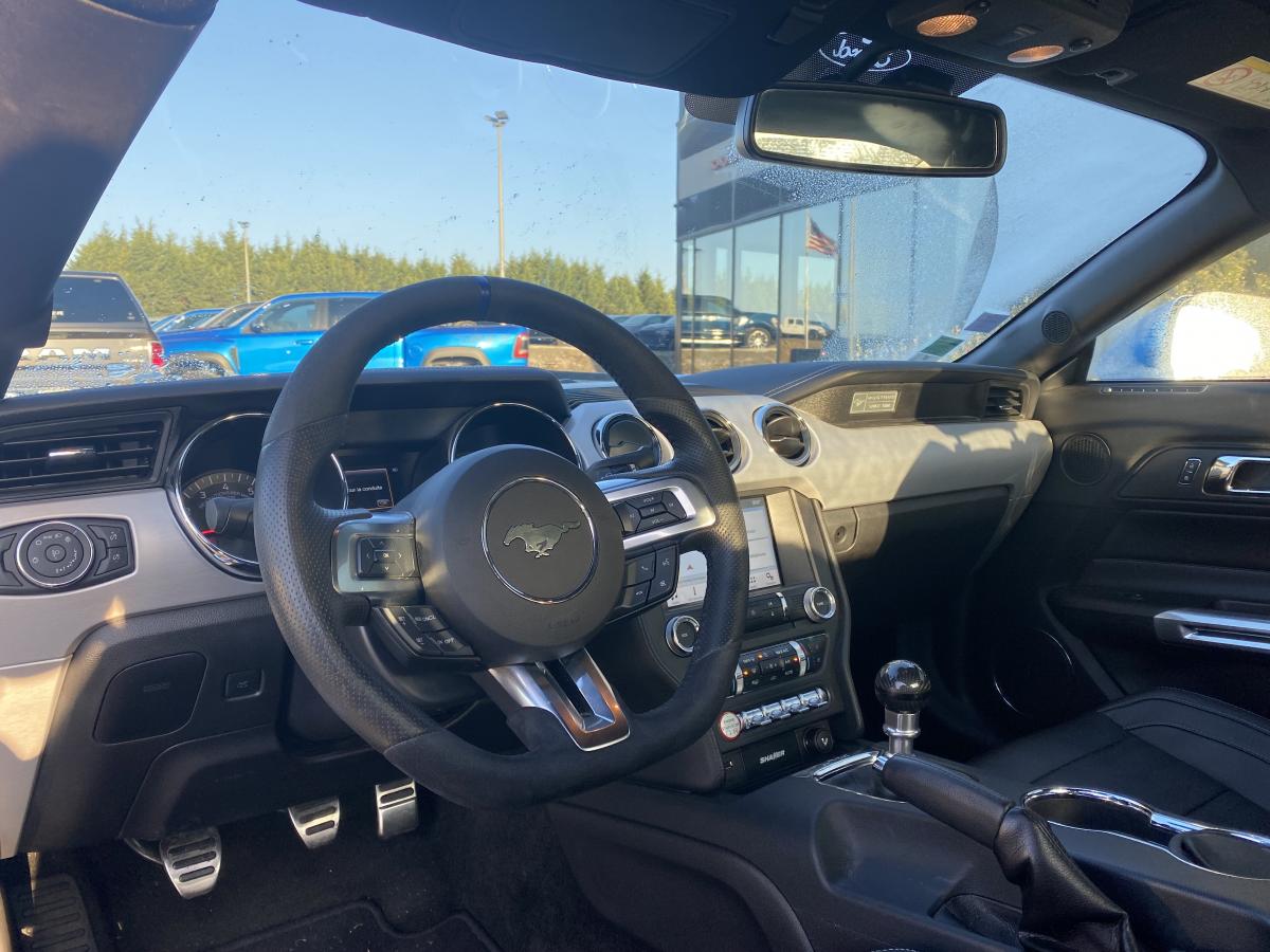 FORD MUSTANG Fastback 5.0 V8 - 421 GT