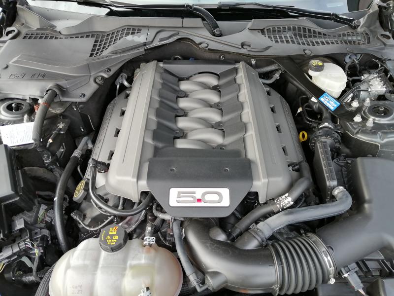 FORD MUSTANG GT V8 5.0L BVA