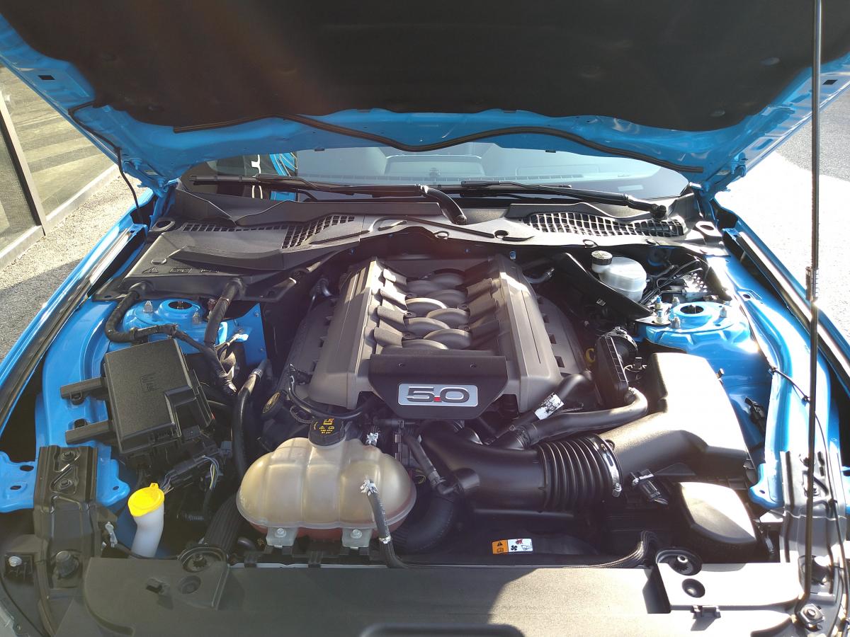 FORD MUSTANG GT Fastback V8 5.0L