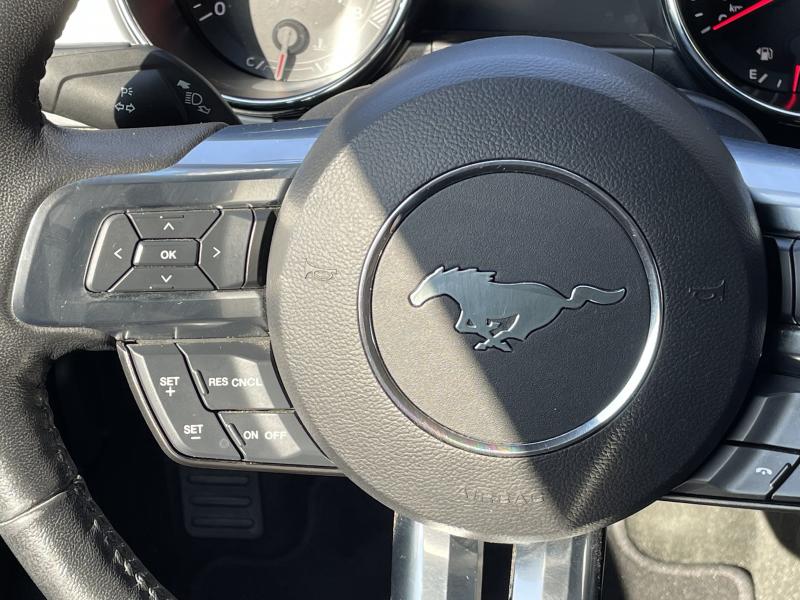 FORD MUSTANG Fastback 5.0 V8