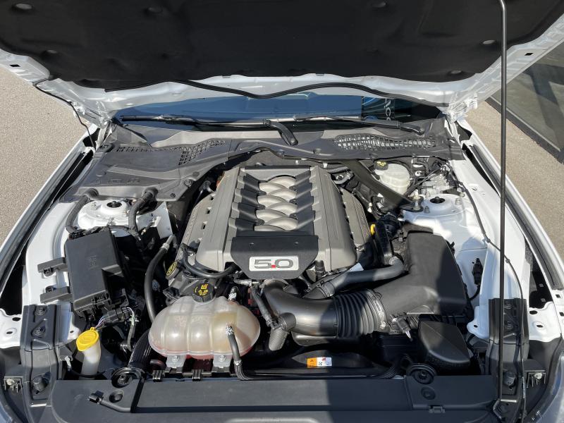 FORD MUSTANG Fastback 5.0 V8
