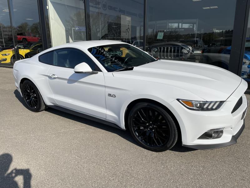 FORD MUSTANG Fastback 5.0 V8