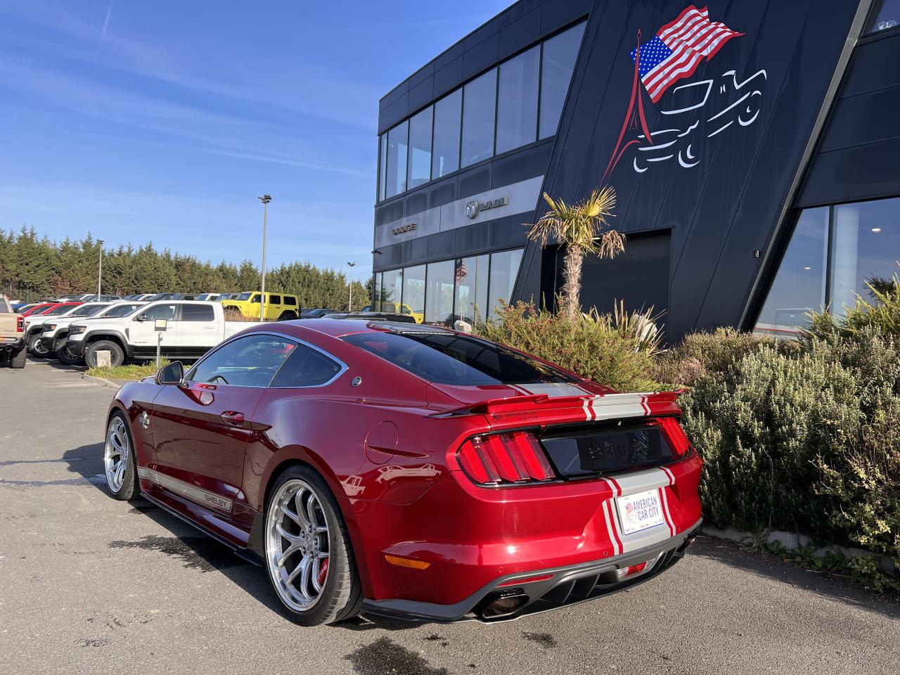 FORD MUSTANG SHELBY SUPER SNAKE V8 5.0L 750hp