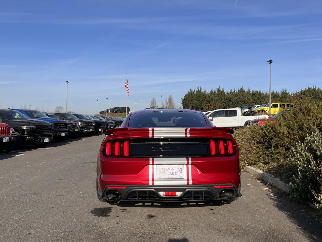 FORD MUSTANG SHELBY SUPER SNAKE V8 5.0L 750hp