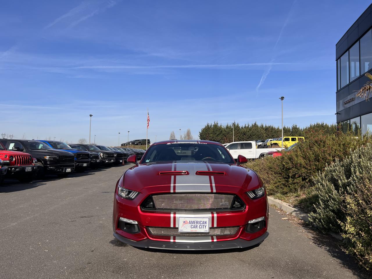 FORD MUSTANG SHELBY SUPER SNAKE V8 5.0L 750hp