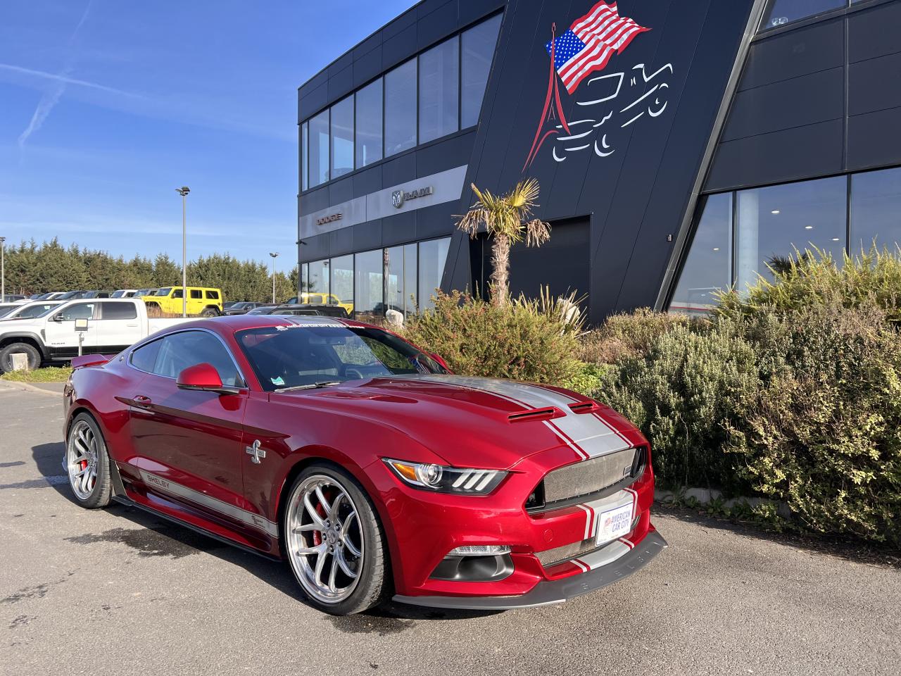FORD MUSTANG SHELBY SUPER SNAKE V8 5.0L 750hp