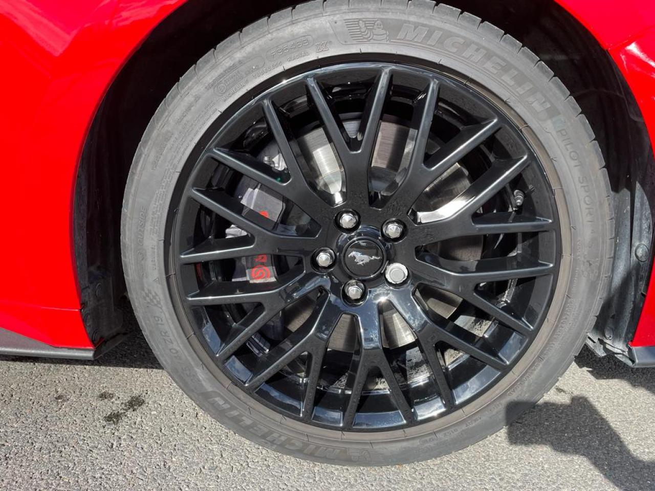 FORD MUSTANG GT CABRIOLET V8 5.0L BVA10