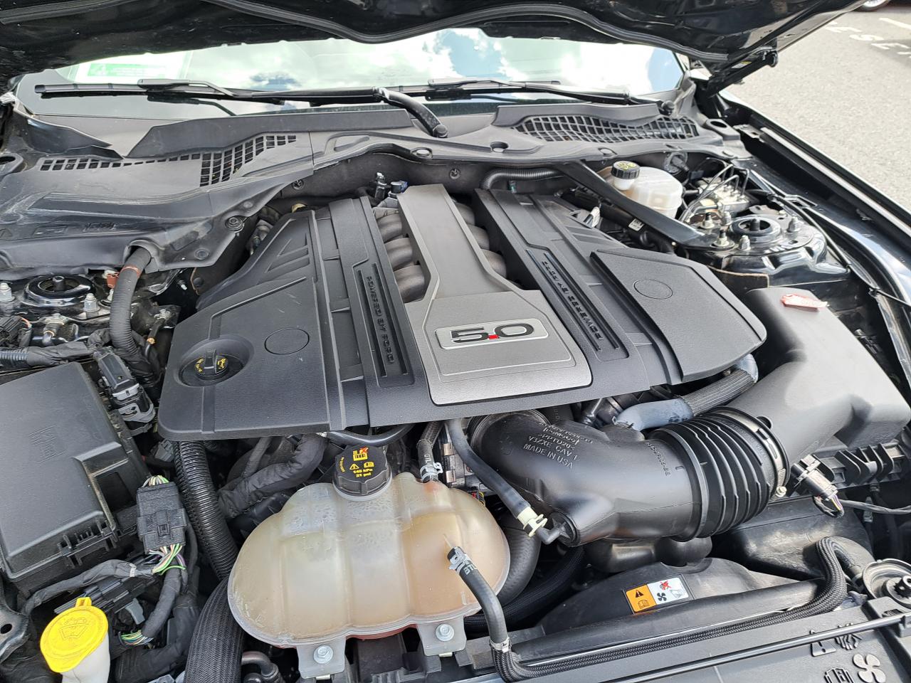 FORD MUSTANG GT CABRIOLET V8 5.0L BVA10