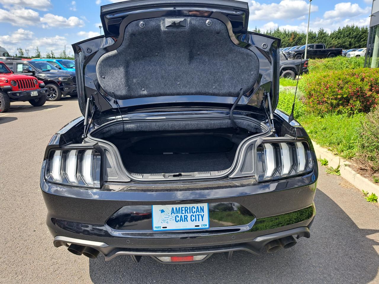 FORD MUSTANG GT CABRIOLET V8 5.0L BVA10