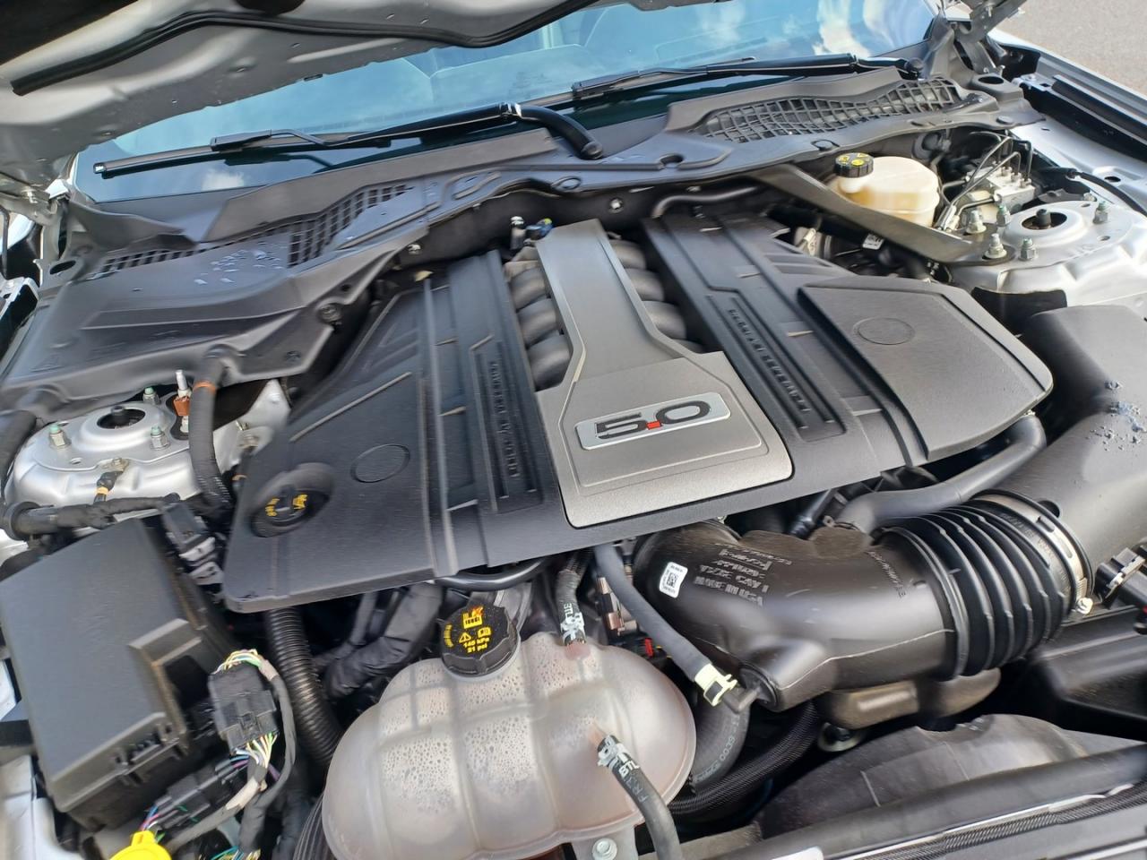 FORD MUSTANG GT Fastback 5.0L V8 BVA10