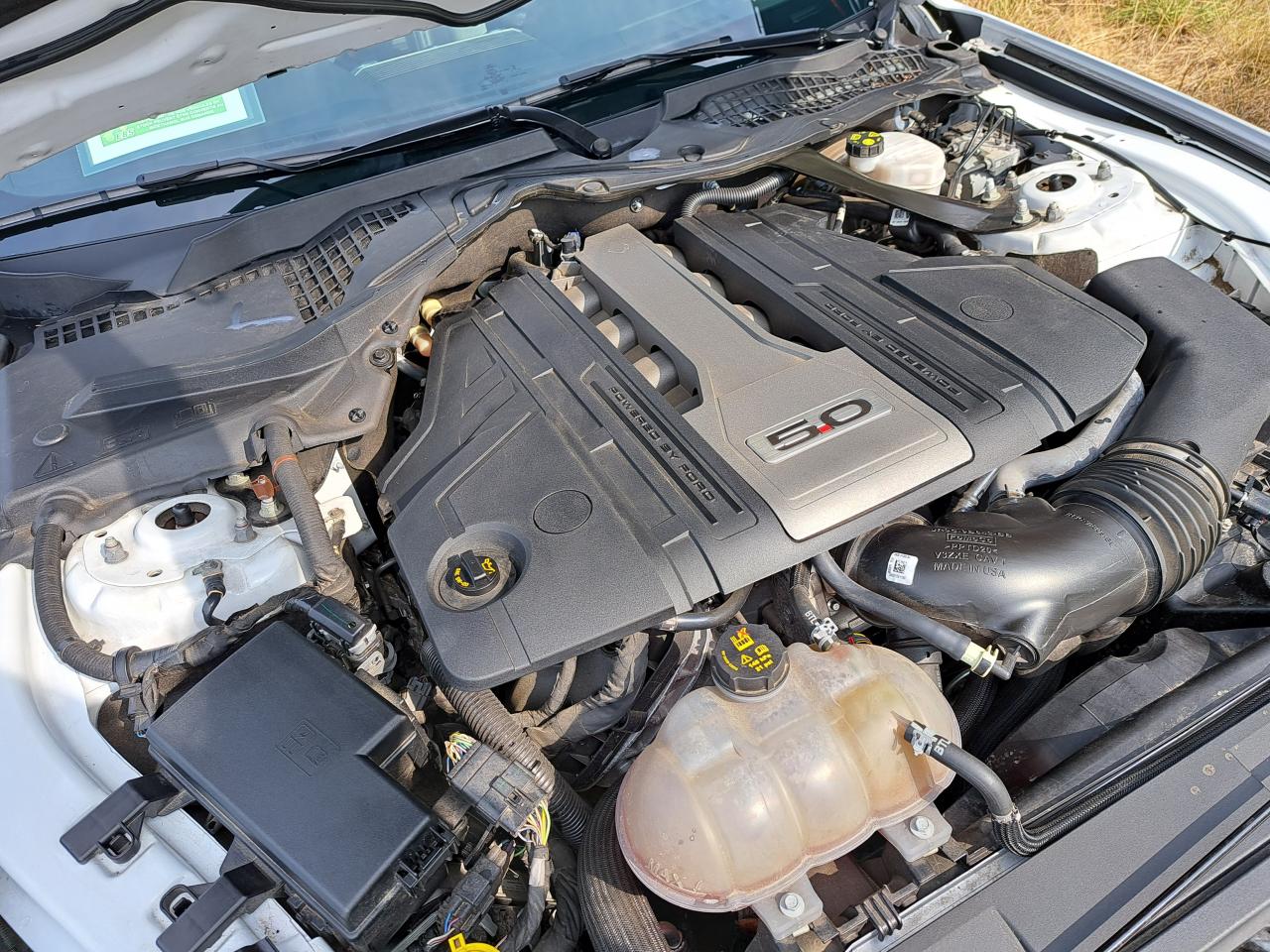 FORD MUSTANG GT Fastback V8 5.0L BVA10