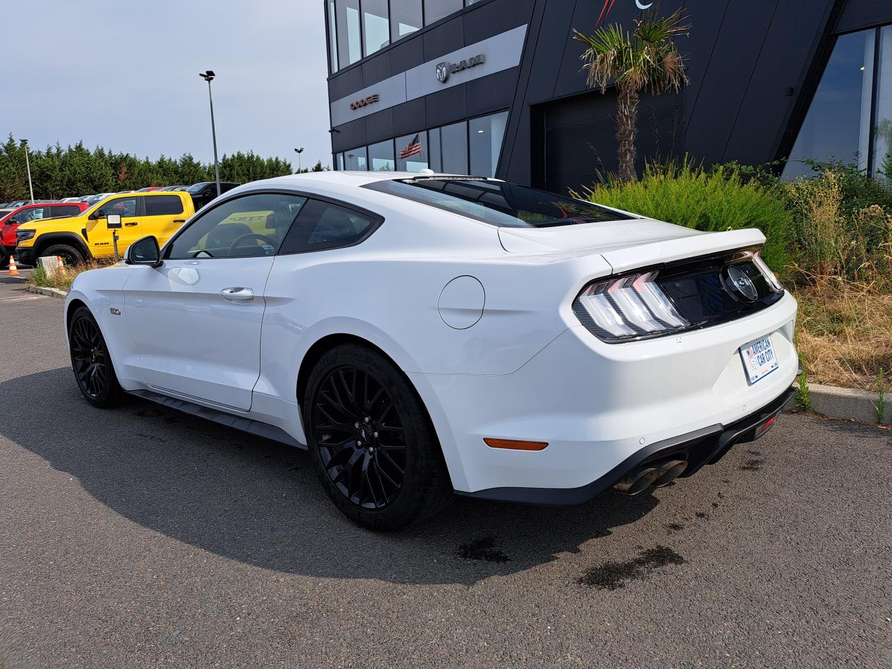 FORD MUSTANG GT Fastback V8 5.0L BVA10