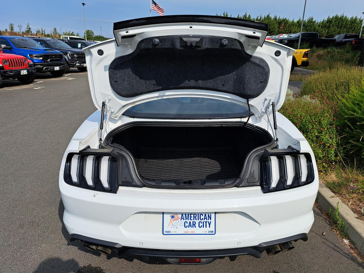 FORD MUSTANG GT Fastback V8 5.0L BVA10