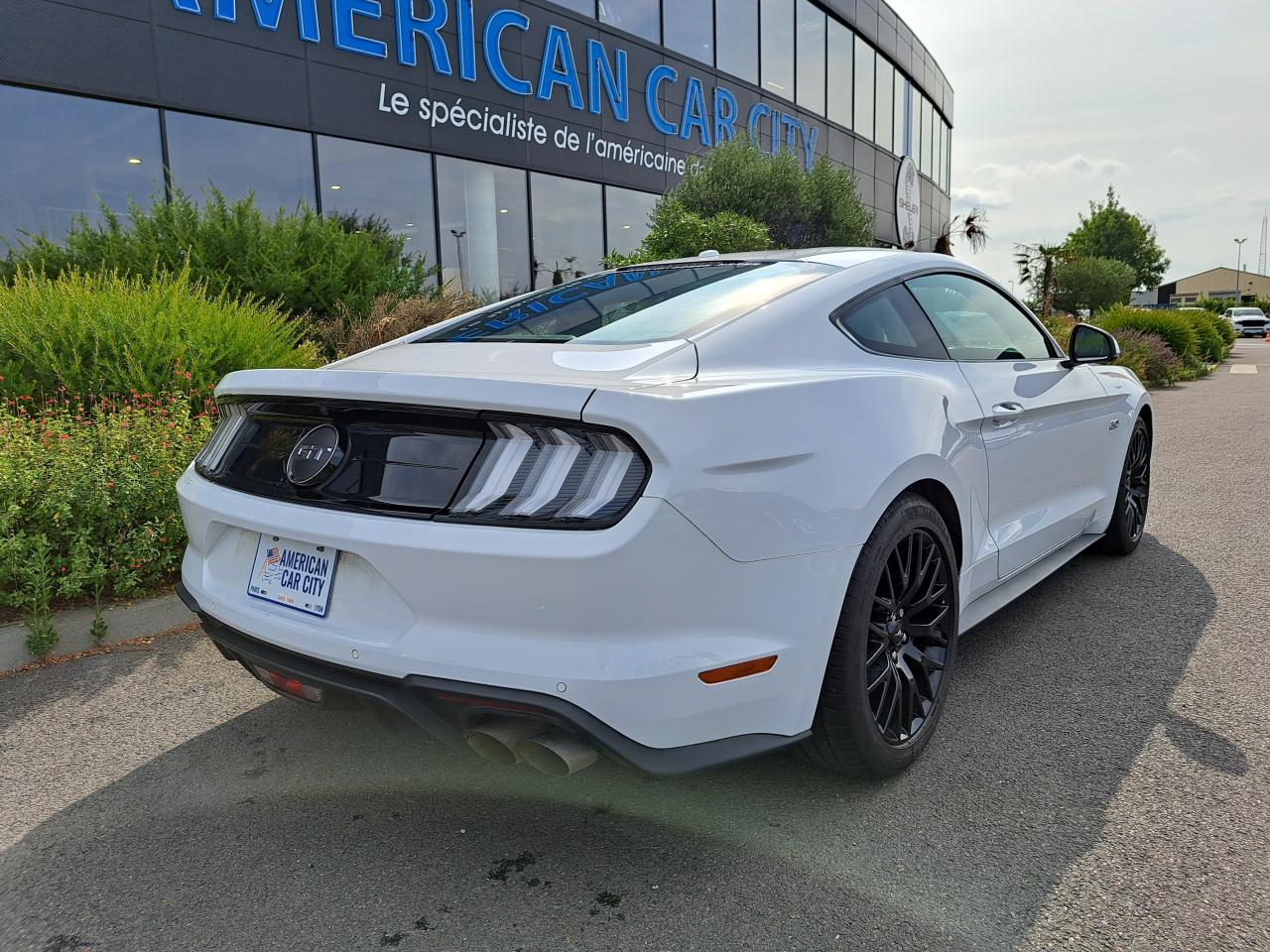 FORD MUSTANG GT Fastback V8 5.0L BVA10