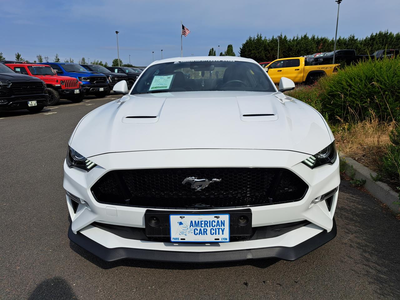 FORD MUSTANG GT Fastback V8 5.0L BVA10