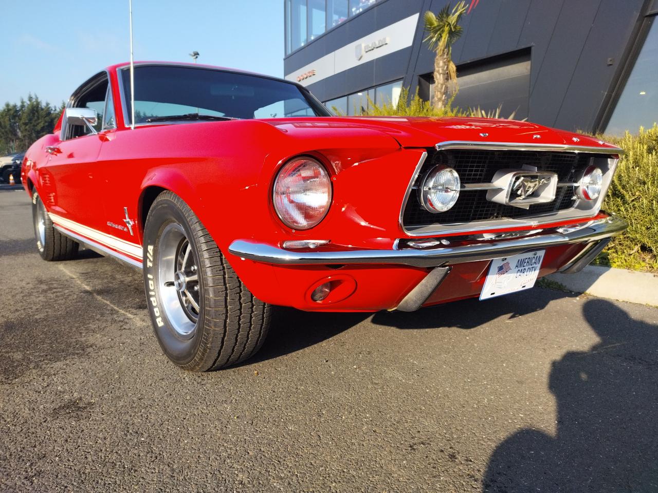 FORD MUSTANG 289 Fastback EN RESTAURATION CHEZ NOUS
