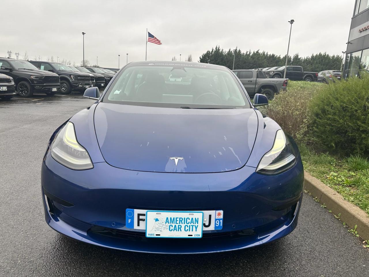 TESLA MODEL 3 Standard Range Plus RWD