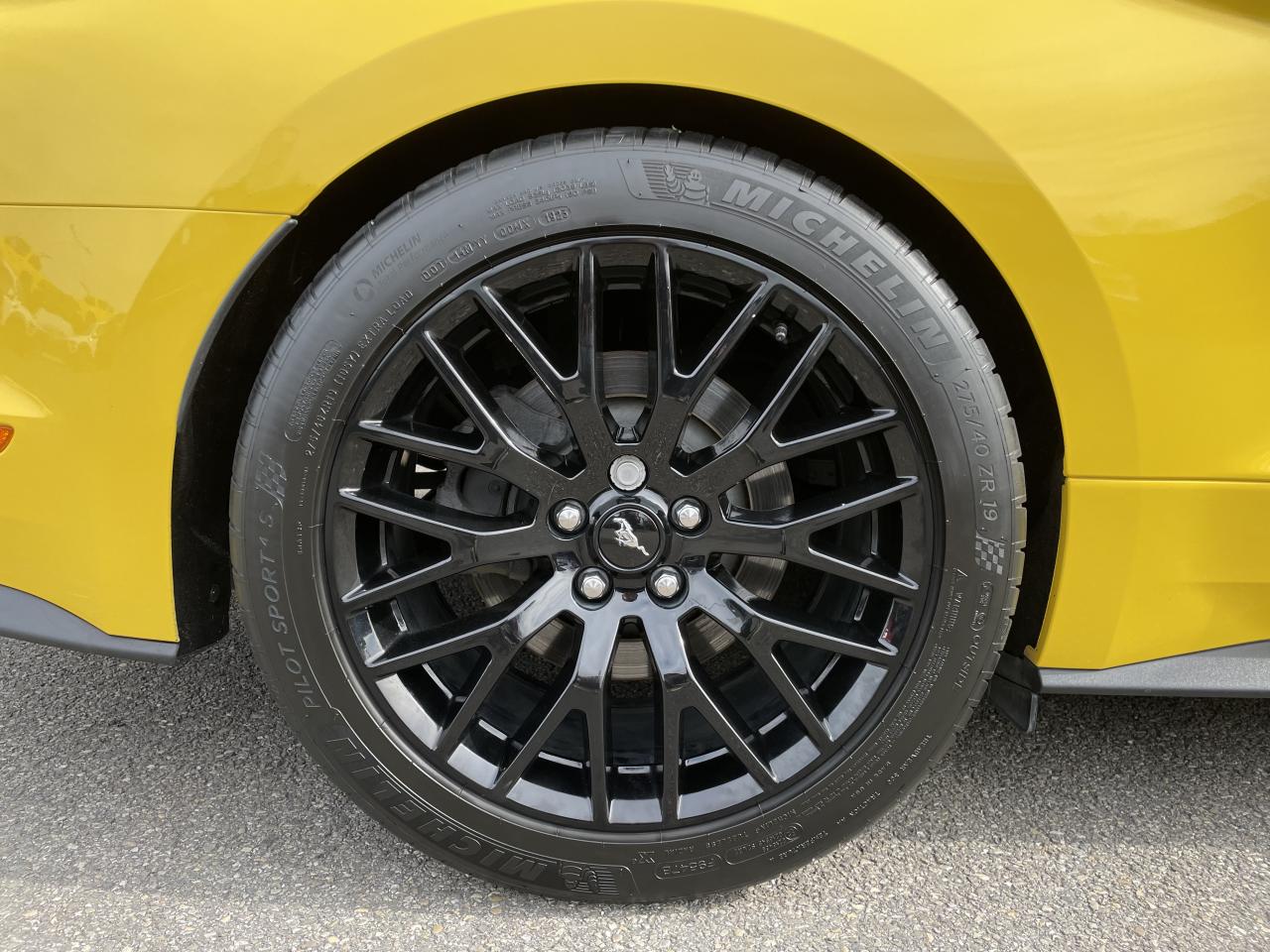 FORD MUSTANG GT FASTBACK 5.0L V8 BVA - Malus Payé