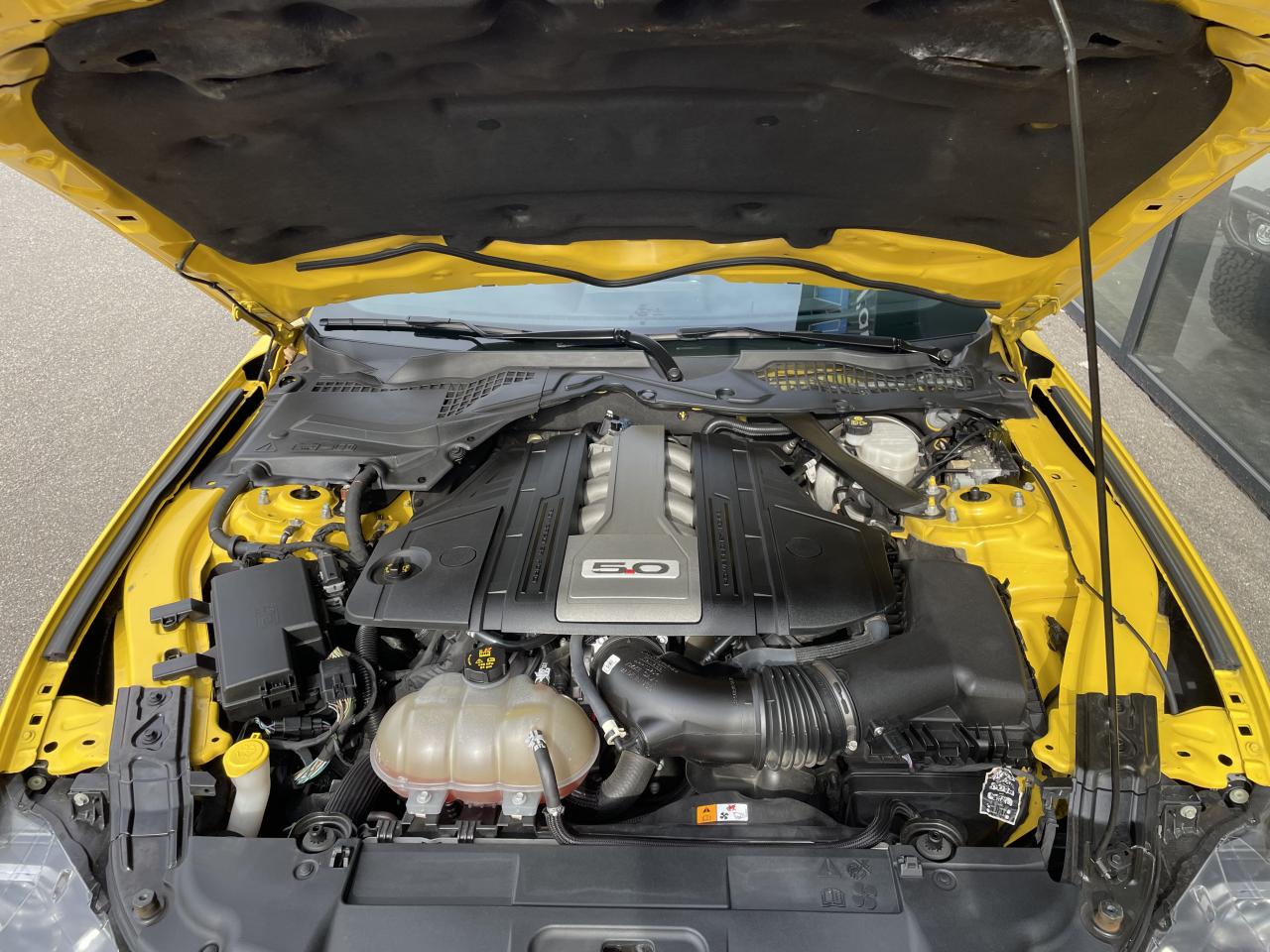 FORD MUSTANG GT FASTBACK 5.0L V8 BVA - Malus Payé
