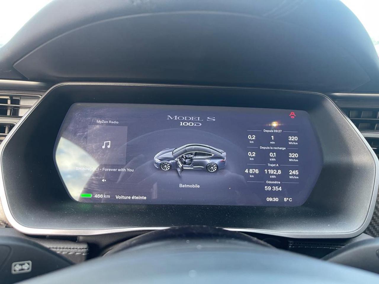 TESLA MODEL S 100D Dual motor Performance