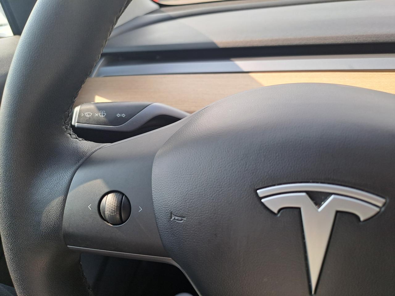 TESLA MODEL 3 Standard Range Plus RWD
