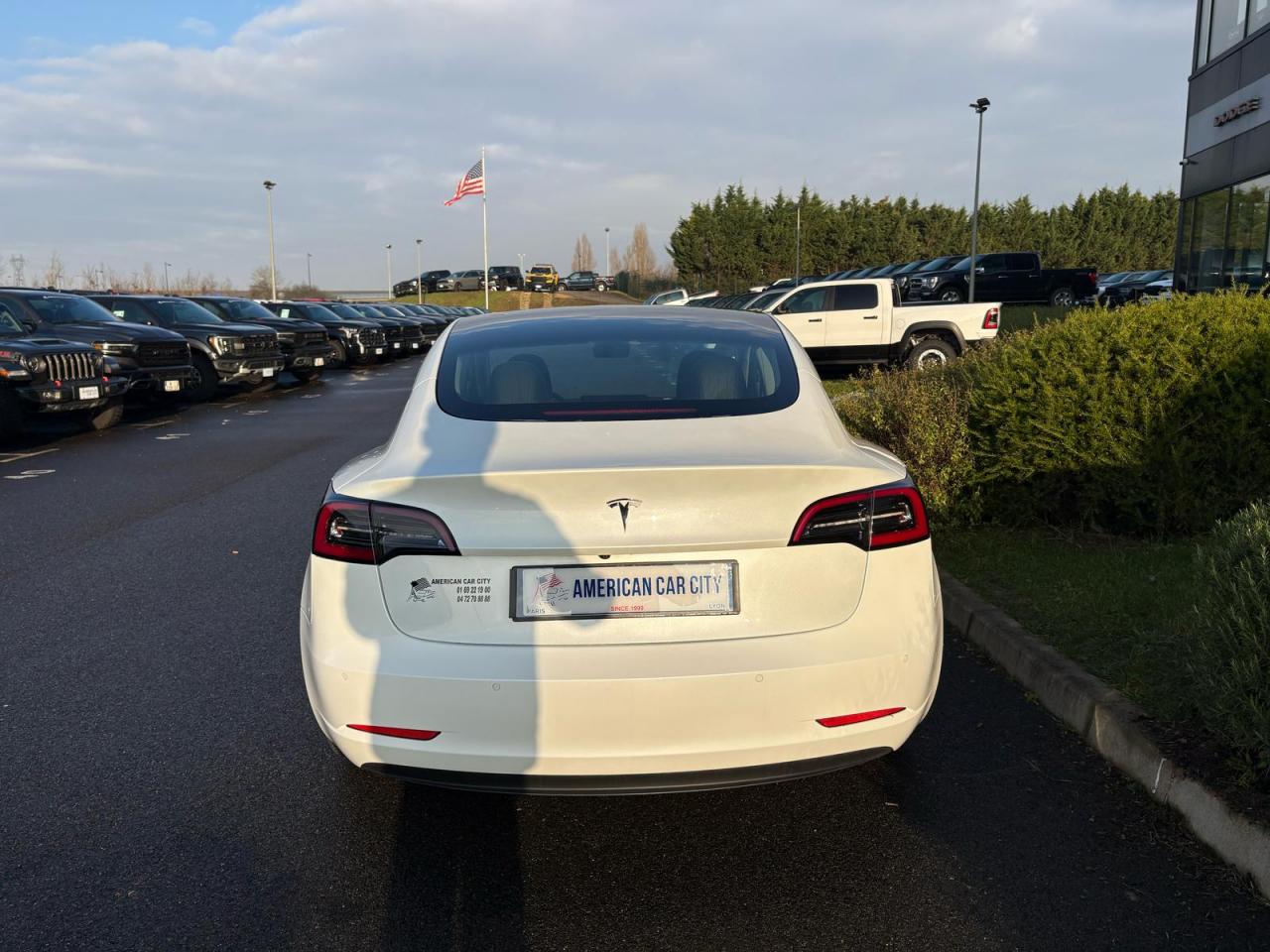 TESLA MODEL 3 Standard Range Plus RWD
