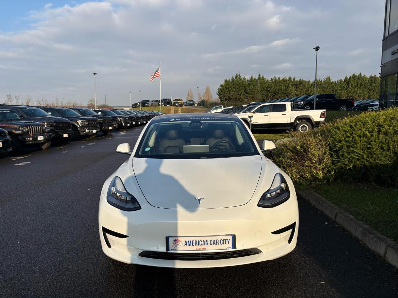 TESLA MODEL 3 Standard Range Plus RWD