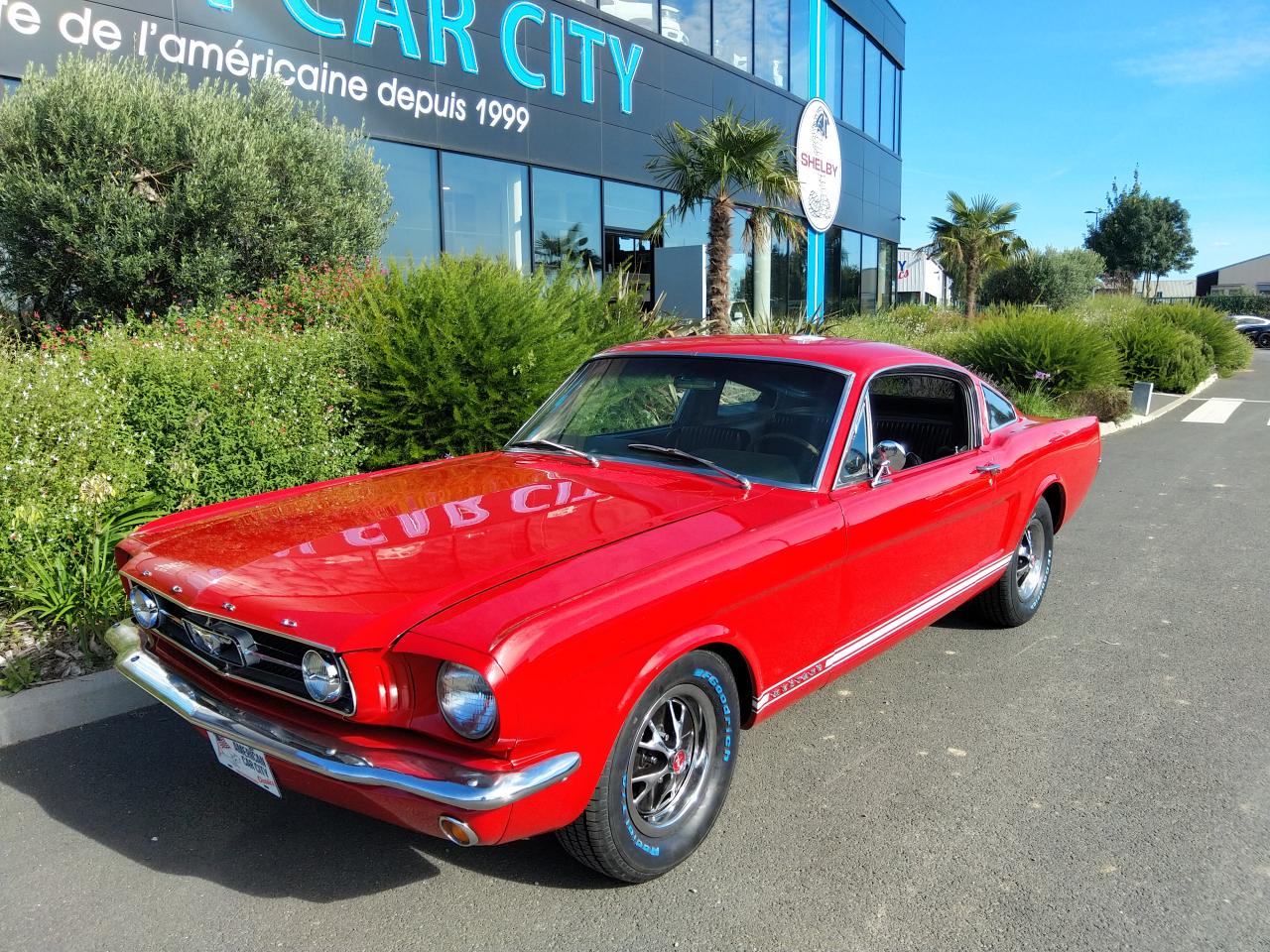 FORD MUSTANG MANDAT DE RECHERCHE A LA CARTE