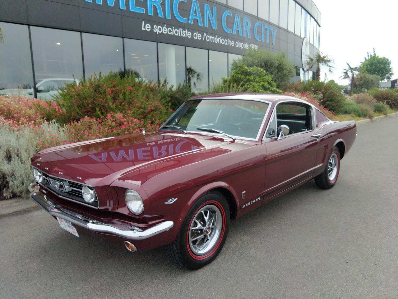 FORD MUSTANG MANDAT DE RECHERCHE A LA CARTE