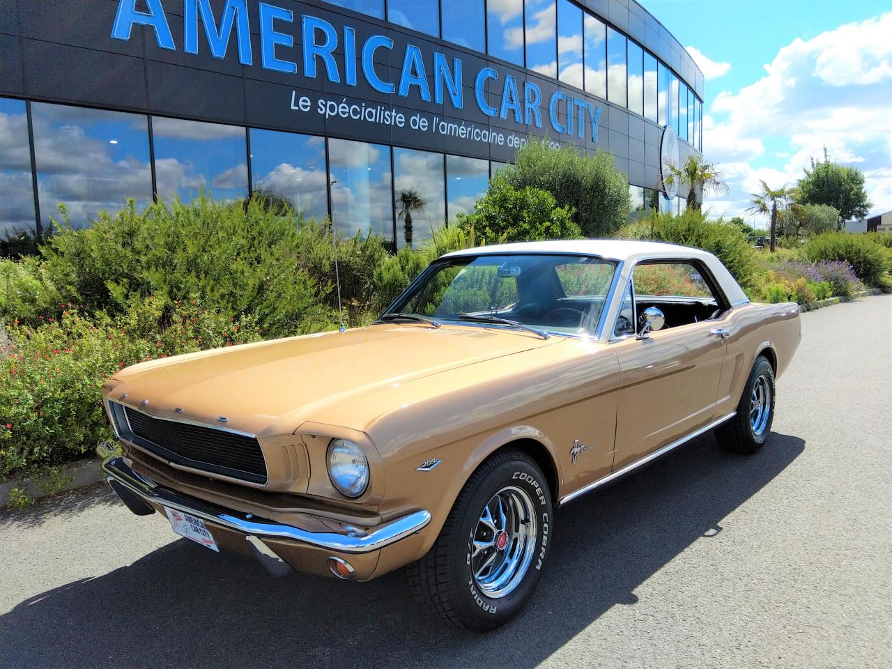 FORD MUSTANG MANDAT DE RECHERCHE A LA CARTE