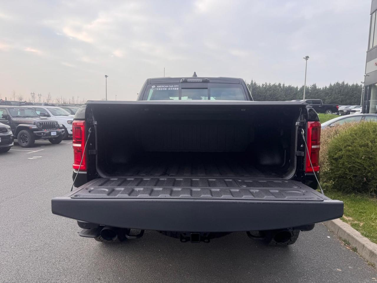 DODGE RAM 1500 CREW RHO