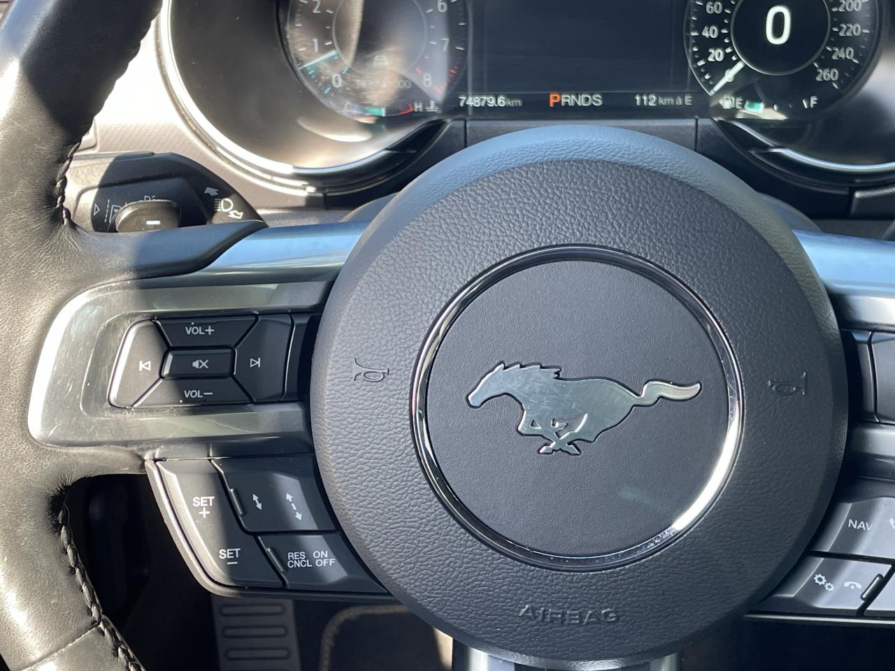 FORD MUSTANG GT FASTBACK 5.0L V8 450ch - MALUS PAYE