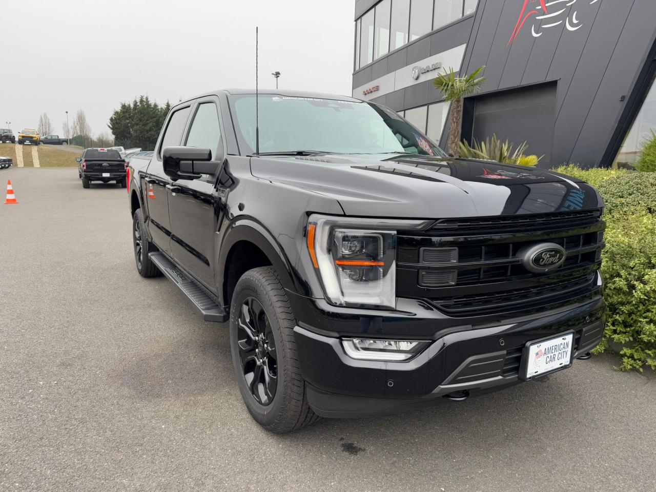 FORD F150 Supercrew LARIAT Black Package V8 5.0L FLEXFUEL