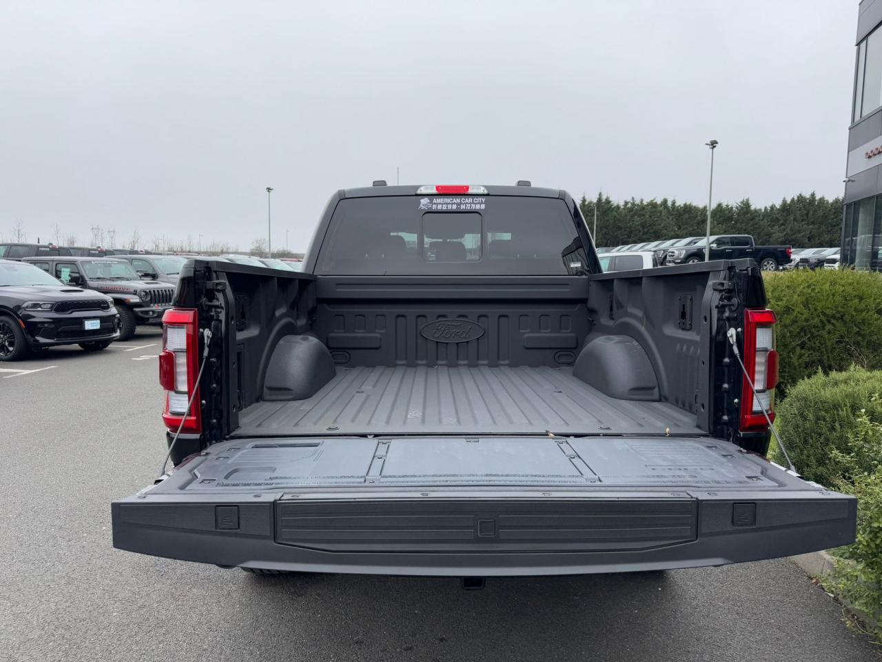 FORD F150 Supercrew LARIAT Black Package V8 5.0L FLEXFUEL