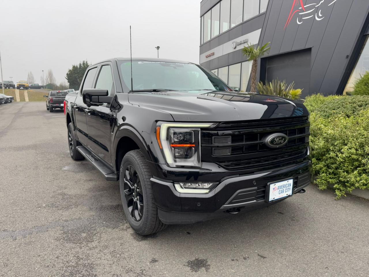 FORD F150 Supercrew LARIAT Black Package V8 5.0L FLEXFUEL