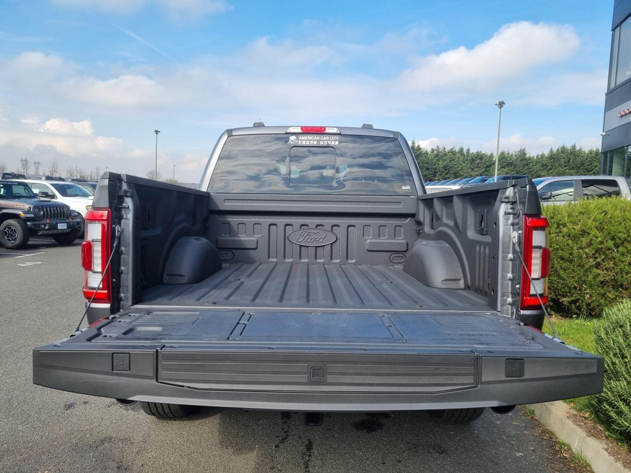 FORD F150 Supercrew LARIAT Black Package V8 5.0L FLEXFUEL