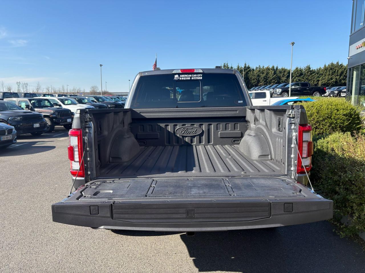 FORD F150 Supercrew LARIAT Black Package V8 5.0L FLEXFUEL