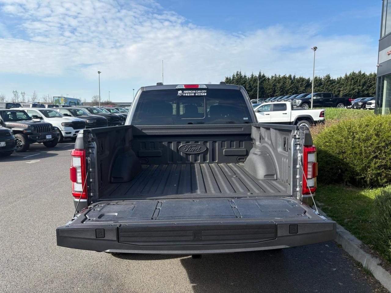 FORD F150 Supercrew LARIAT Black Package V8 5.0L FLEXFUEL