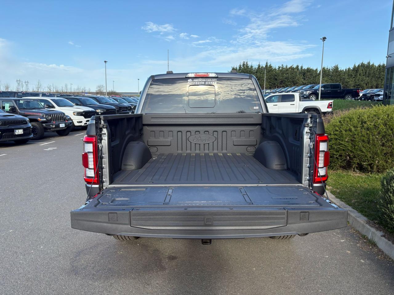 FORD F150 Supercrew LARIAT Black Package V8 5.0L FLEXFUEL