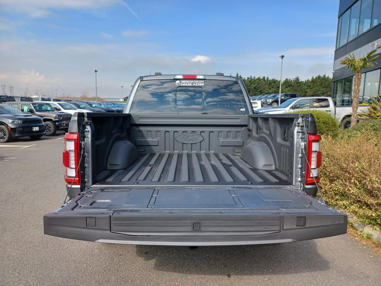 FORD F150 Supercrew LARIAT Black Package V8 5.0L FLEXFUEL