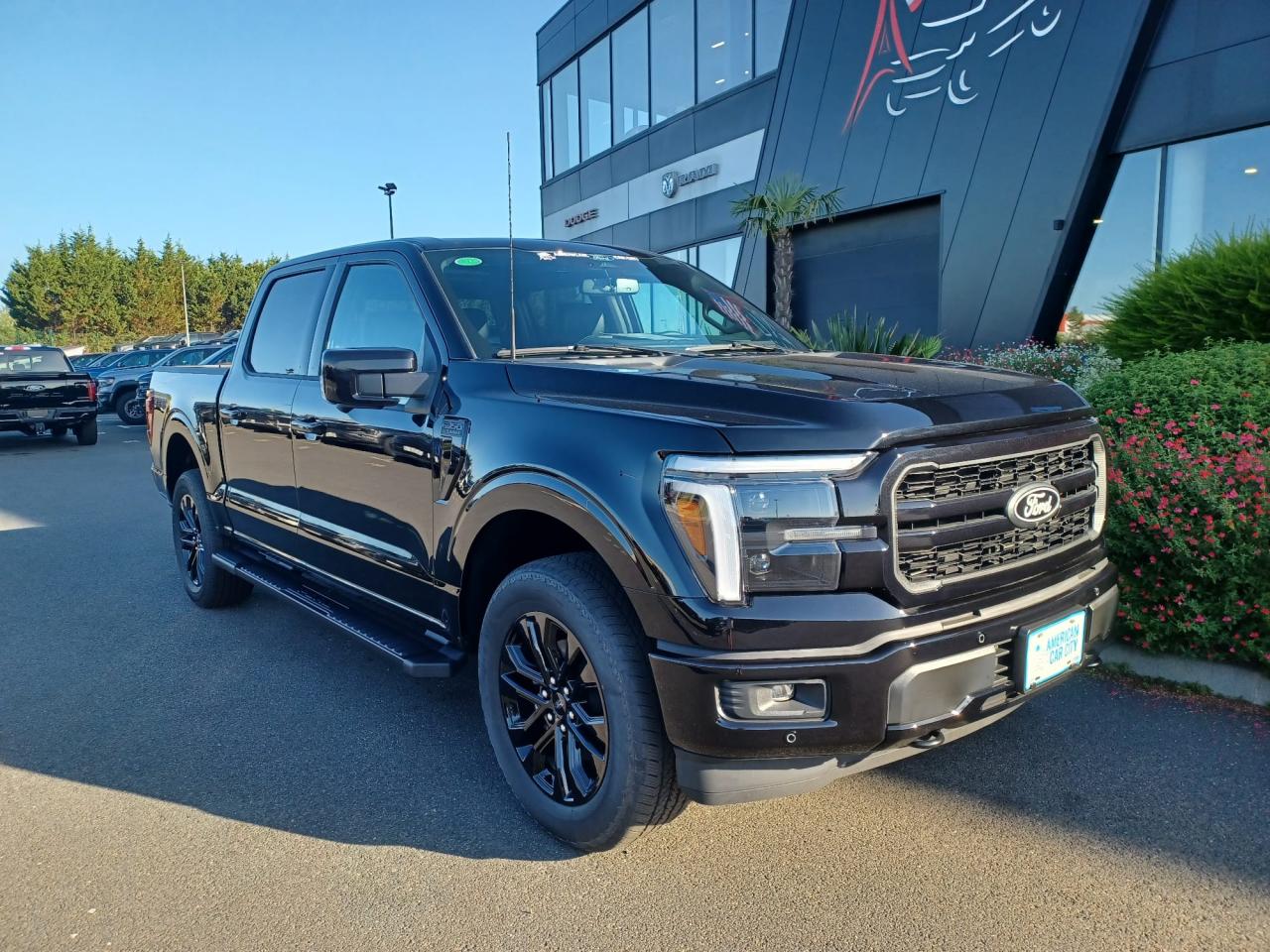 FORD F150 Supercrew LARIAT Black Package V8 5.0L FLEXFUEL